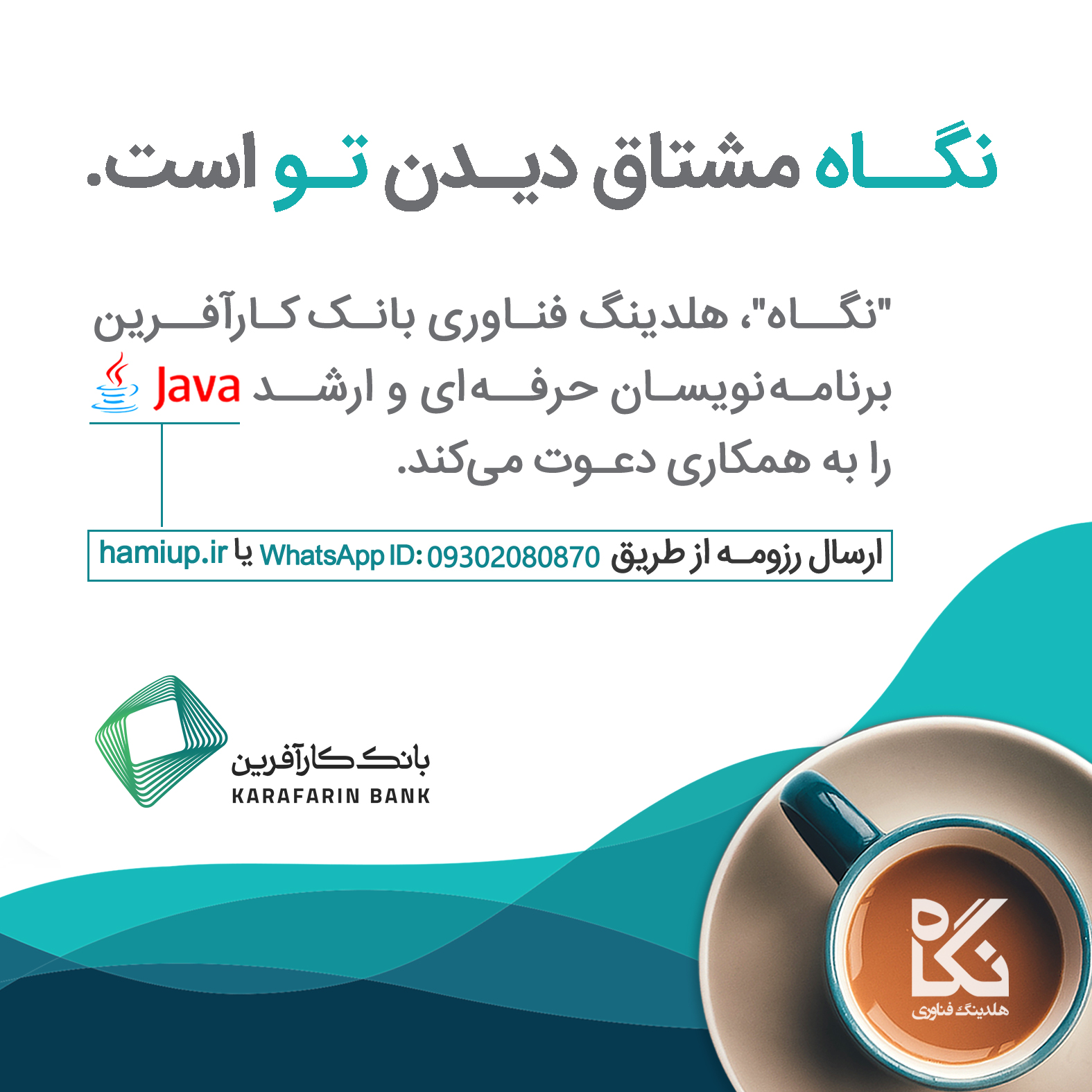 متخصصان حرفه ای Java