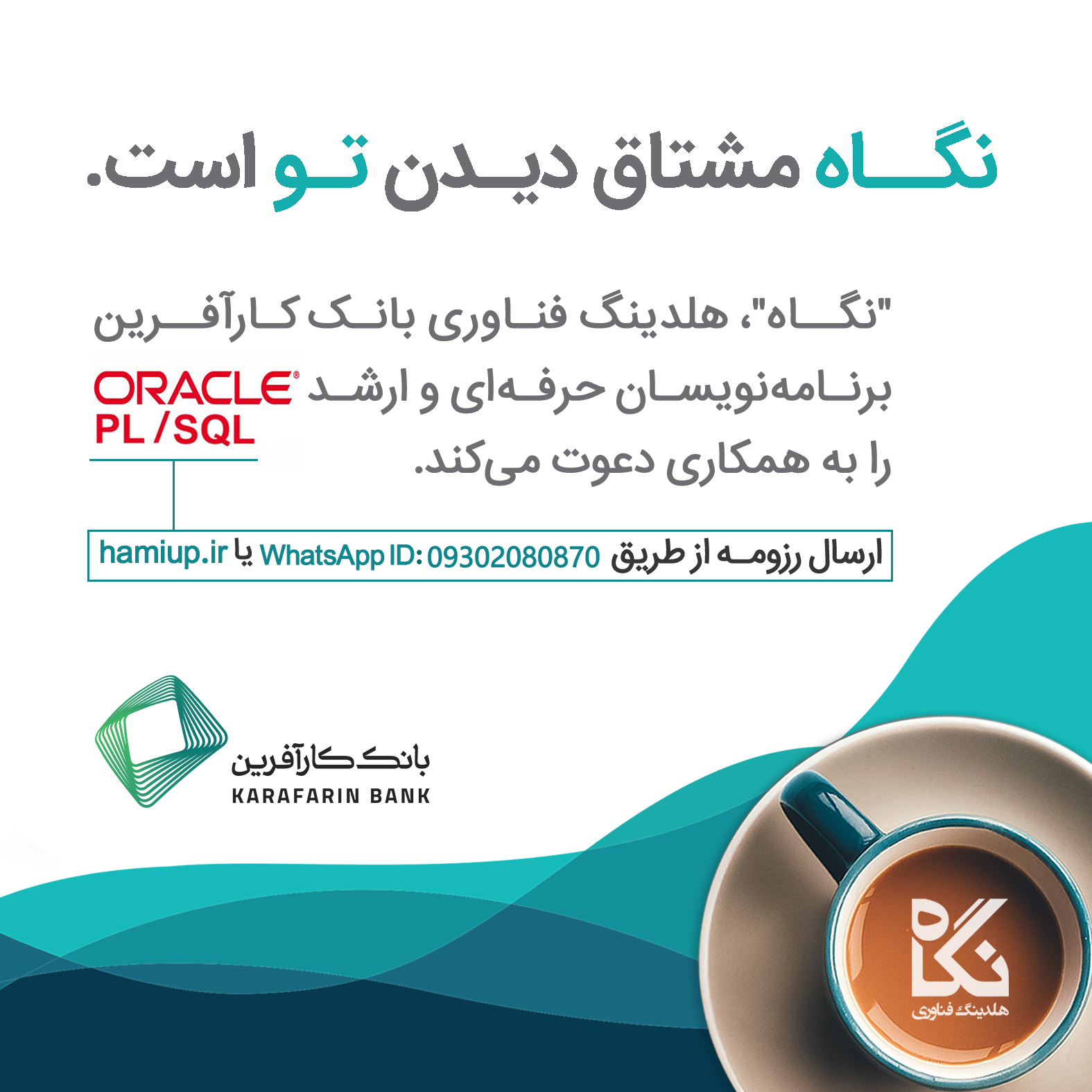 متخصصان Oracle PL/SQL